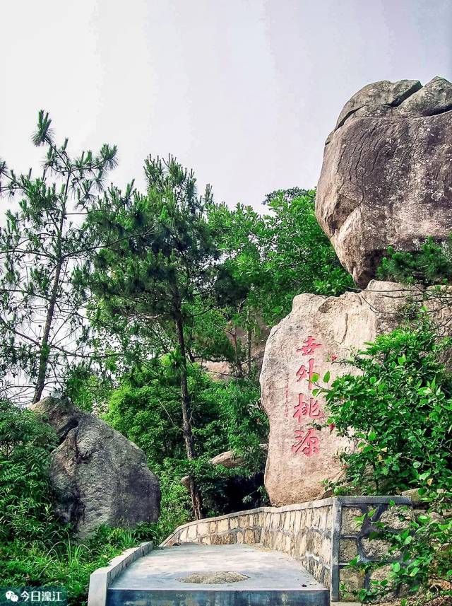 夜听濠江丨你在巨峰寺见过这头巨龟吗?它的背后还有这段传奇