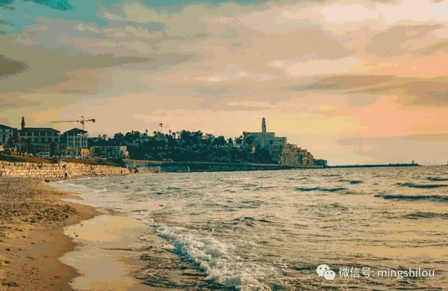 国际游学 ▍解码