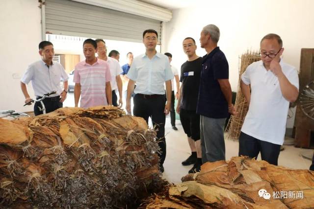 县委书记王峻赴古市镇,赤寿乡专题调研乡村振兴工作纪实
