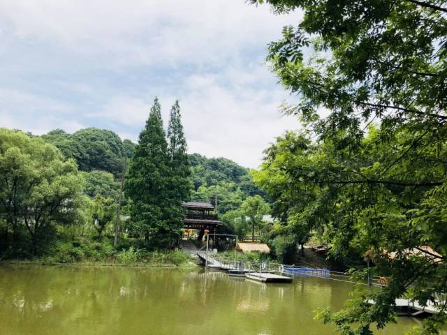 逛玩| 萧山南片这个旮旯里居然藏着这么好玩的庄园,隐蔽等级五颗星