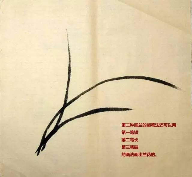 画兰以叶为先,起首一笔,有钉头,鼠尾,螳螂肚之法.