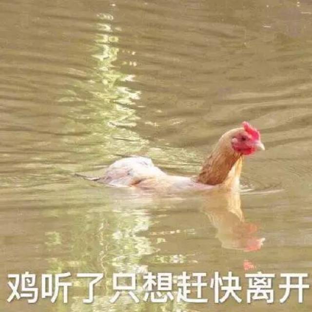 千万别让在外国的女友看见这套野鸡表情包,不然怼死你没商量