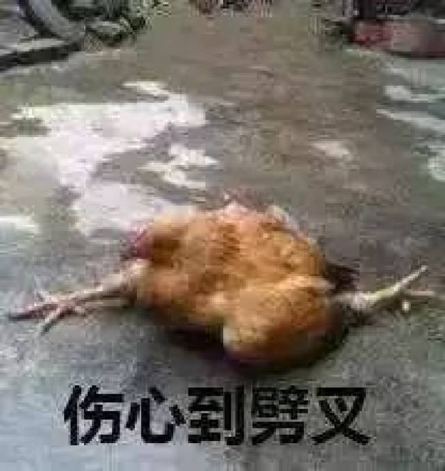 千万别让在外国的女友看见这套野鸡表情包,不然怼死你没商量