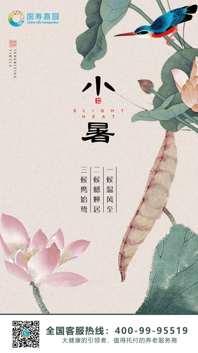 节气|小暑——月明船笛参差起,风定池莲自在香