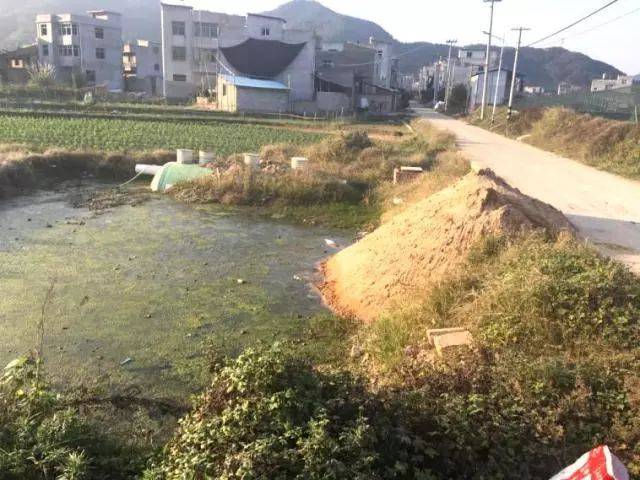 建瓯市小松镇李园村尾水收集排入池塘无净化效果