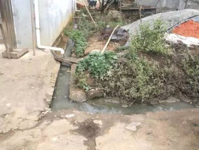 上杭县蓝溪镇载厚村沿河住户生活污水直接排放至溪流