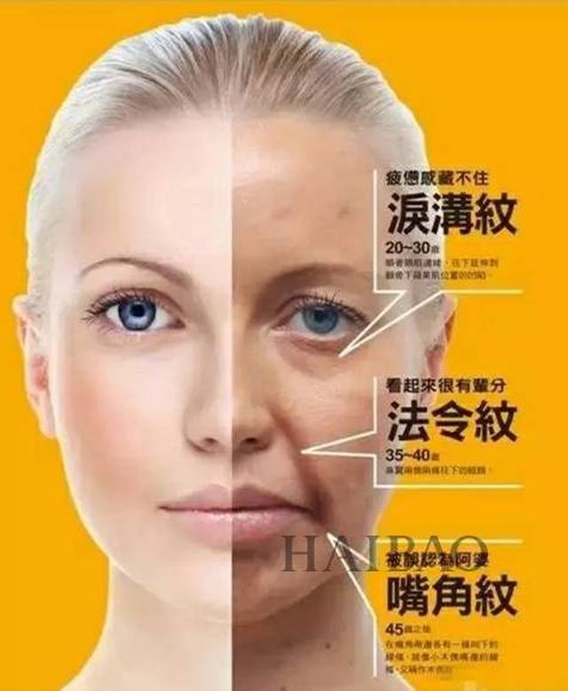 三八纹