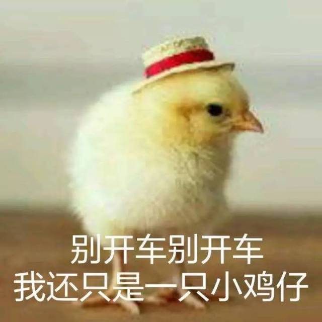 千万别让在外国的女友看见这套野鸡表情包,不然怼死你