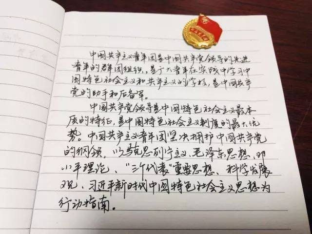 团章内容 搜狐网