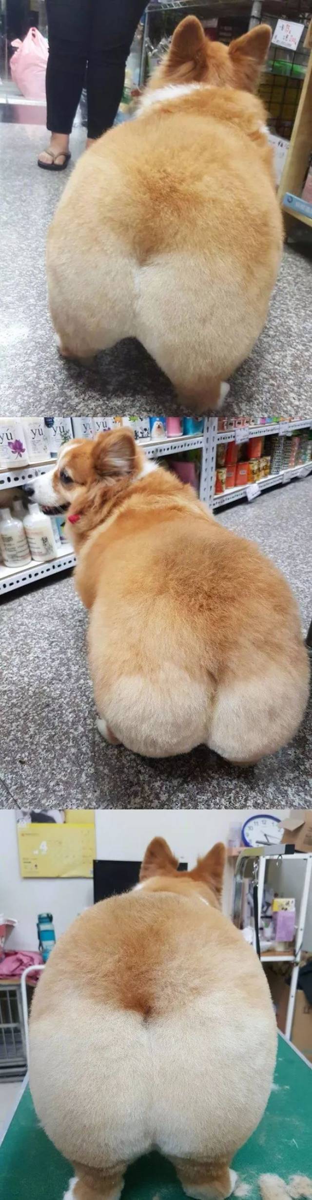 c031a13bd00543d8b2cd5f2cf3a0693e.jpeg