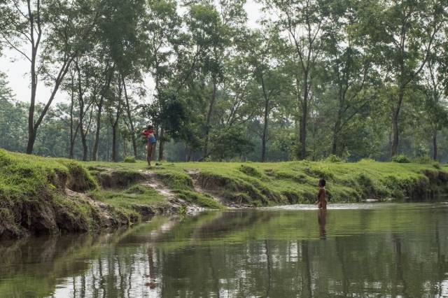 尼泊尔原始森林:小孩在河里游泳,鳄鱼在岸边狩猎,大家互不侵犯