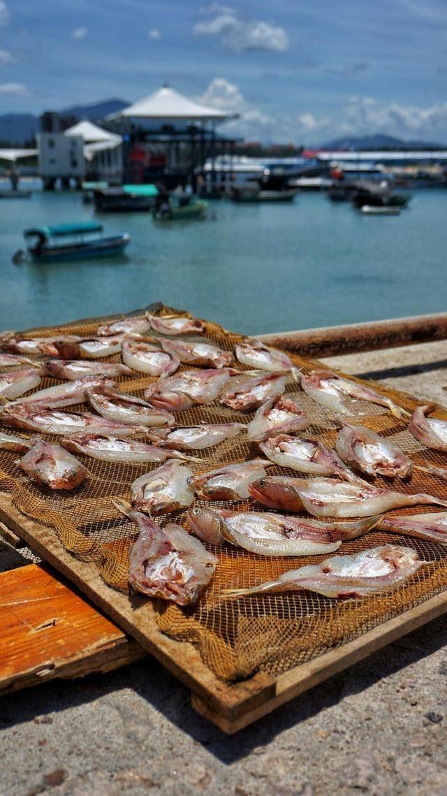 后海村 后海村