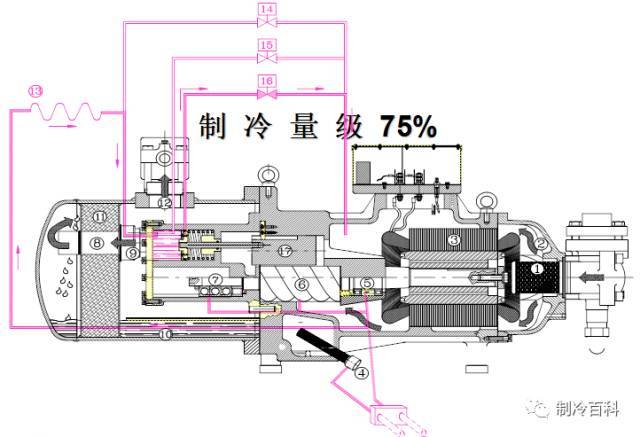 螺杆压缩机工作原理与结构分析