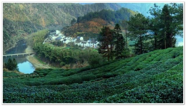 ＾硱ڶüɽ Ĵʡ㽭ʡа