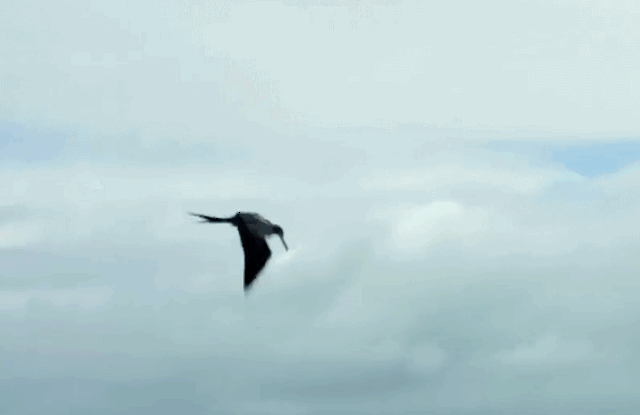 640_415