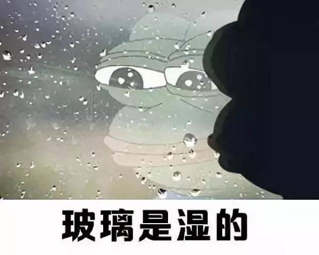 雨一直下 气氛不太融洽 喝酒祛湿了解一下