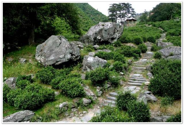 ＾硱ڶüɽ Ĵʡ㽭ʡа