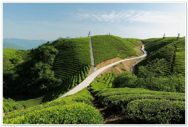 ＾硱ڶüɽ Ĵʡ㽭ʡа