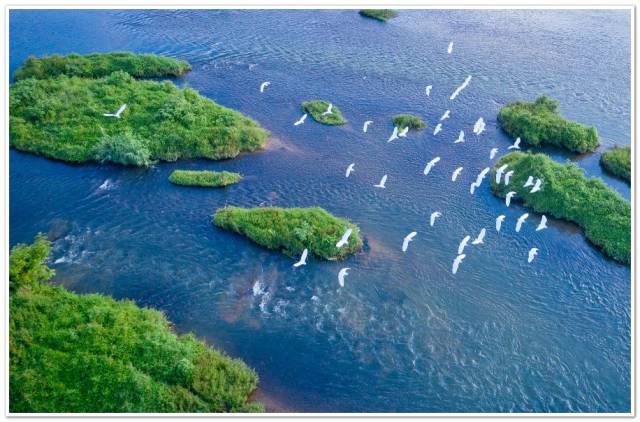 ＾硱ڶüɽ Ĵʡ㽭ʡа