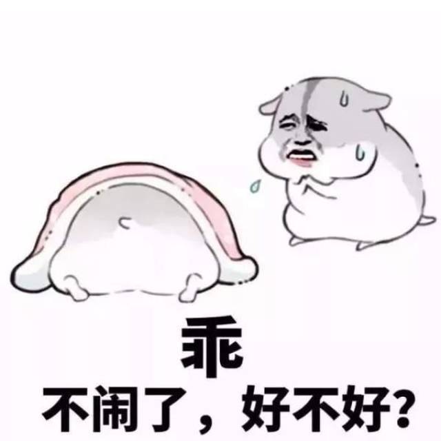 仓鼠哄女朋友必备表情包:乖不闹了好不好