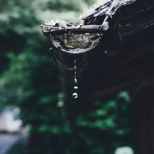 《月下独酌》