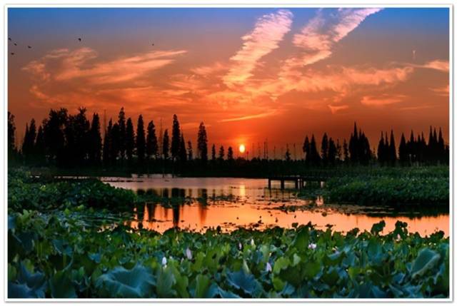 ＾硱ڶüɽ Ĵʡ㽭ʡа