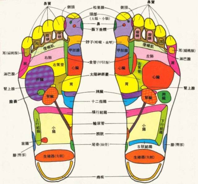 从中医经络学说的角度,更能说明双脚与全身的密切关系.