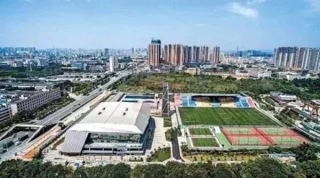 原来深圳有这么多免费培训班!琴、书法、画、球类运动……不知道