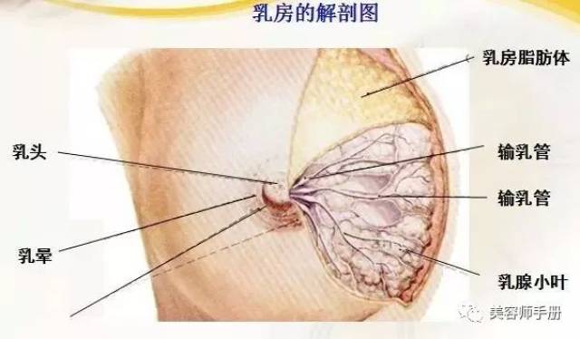 孕期胸部总有“乳汁”分泌,二胎妈妈被确诊患癌!