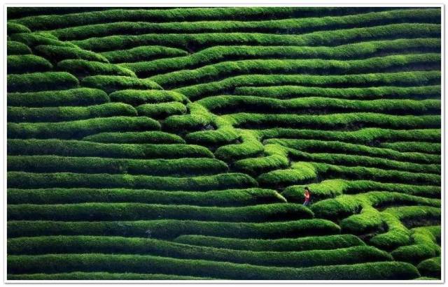 ＾硱ڶüɽ Ĵʡ㽭ʡа