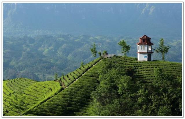 ＾硱ڶüɽ Ĵʡ㽭ʡа