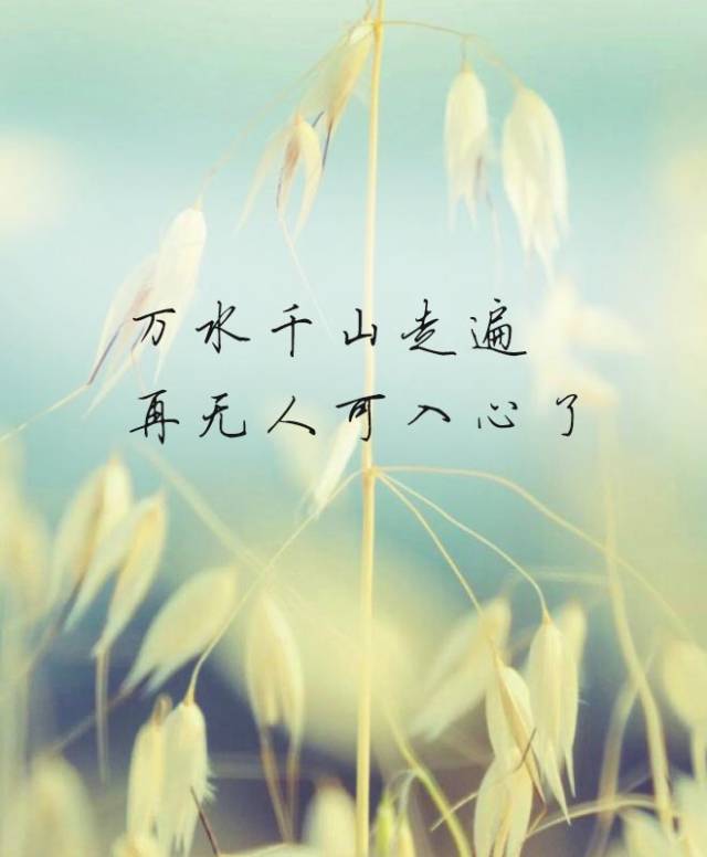 һת,