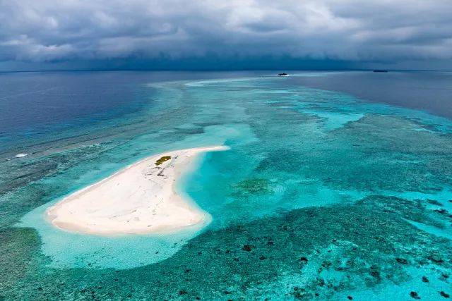 【推广】免费招募 | 被城市驯化,还是去赤道探寻生命之力?