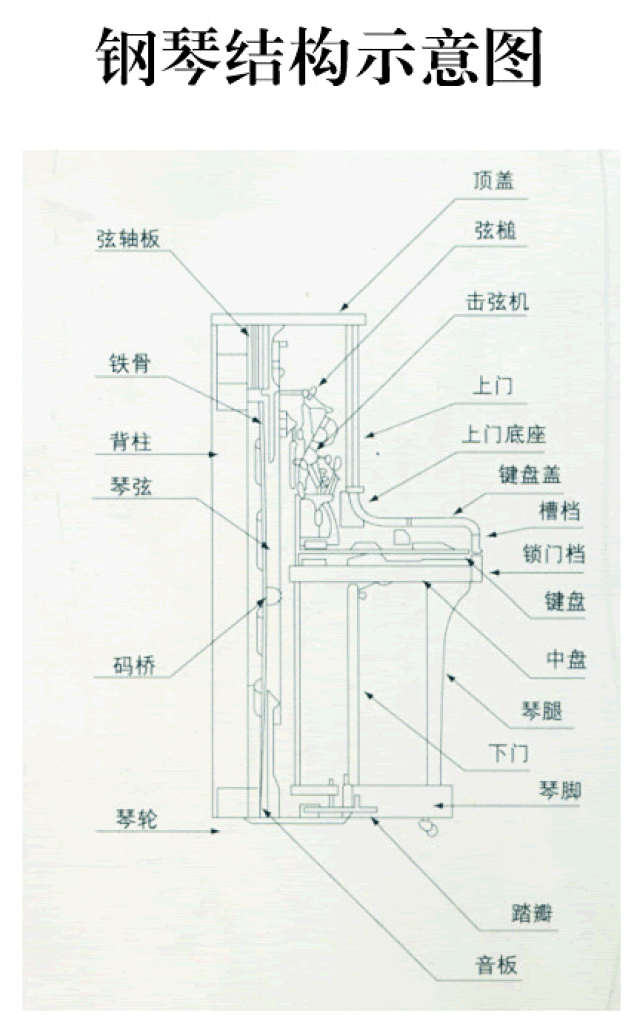 三角钢琴与立式钢琴的区别