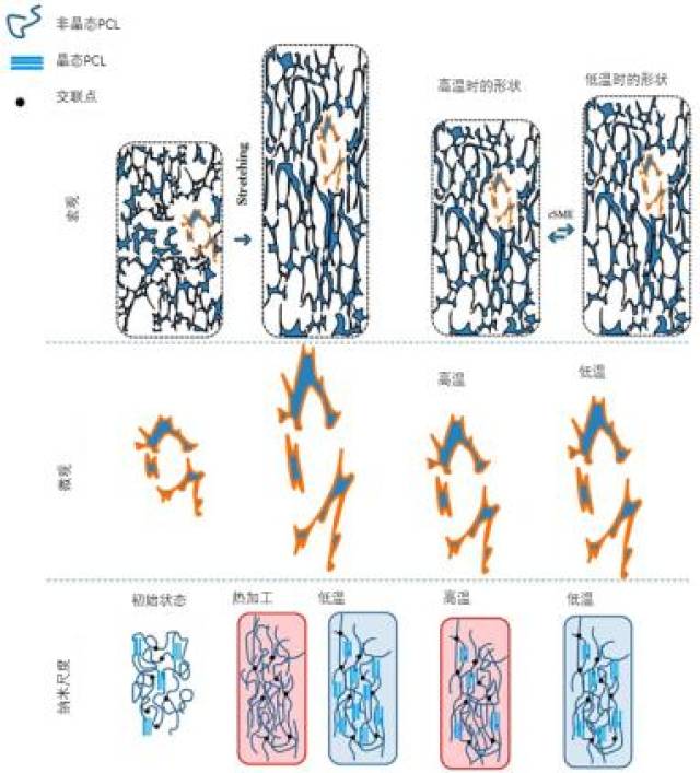 聚氨酯弹性体的形状记忆机理图,内容来自polymers