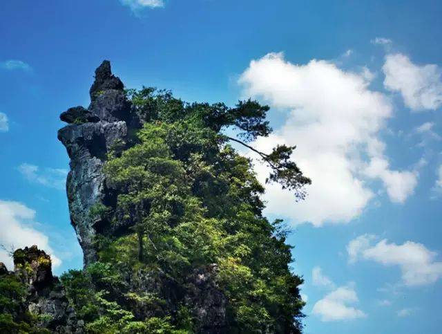 解锁| 贵州自驾36计:梵净山 魅力江口 佛光之城_手机