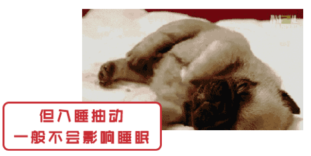 睡觉时身体突然抖一下是因为?