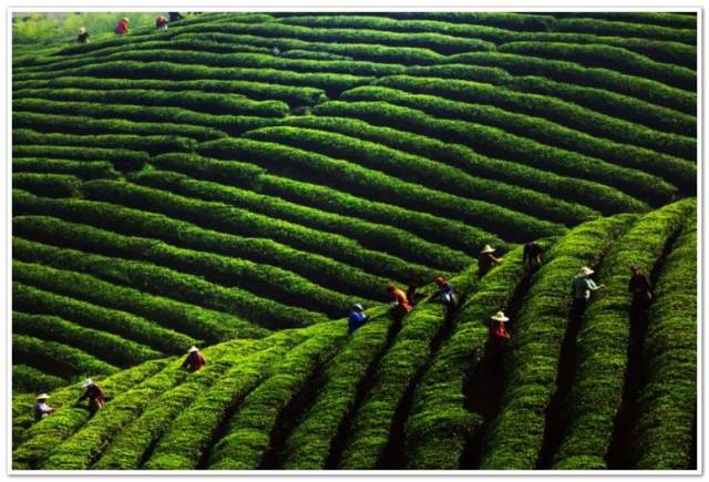 ＾硱ڶüɽ Ĵʡ㽭ʡа