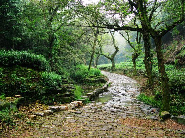 坐拥西湖山色,独享九溪烟树无敌亲水风景,盛夏你得来一趟