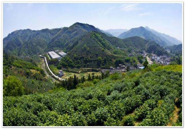 ＾硱ڶüɽ Ĵʡ㽭ʡа