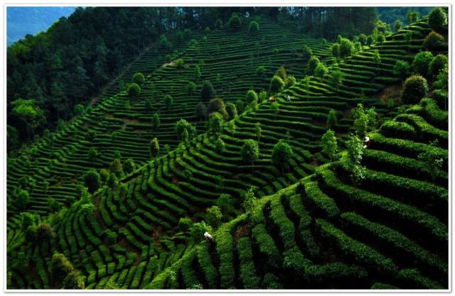 ＾硱ڶüɽ Ĵʡ㽭ʡа