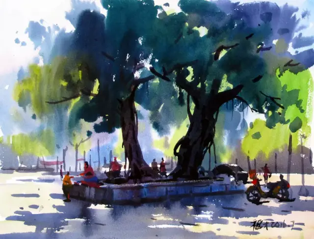 《榕树》36x56cm 水彩画