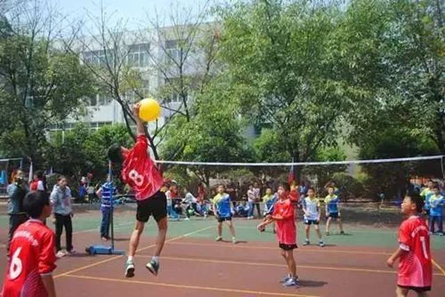 原来深圳有这么多免费培训班!琴、书法、画、球类运动……不知道