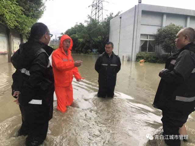 区城管局防汛指挥部现场布置防汛应急救灾工作