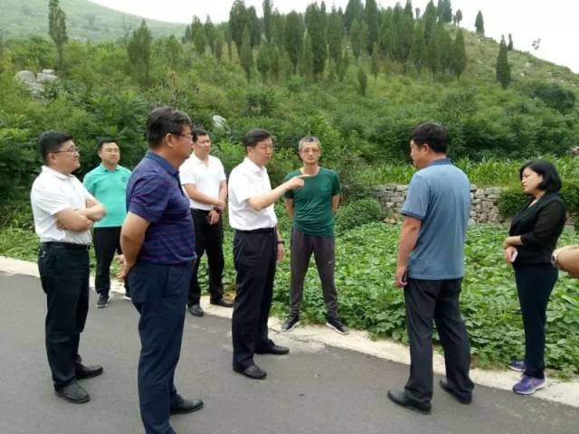 淄川区委书记李新胜调研中华传统民俗文化创意园项目_手机搜狐网