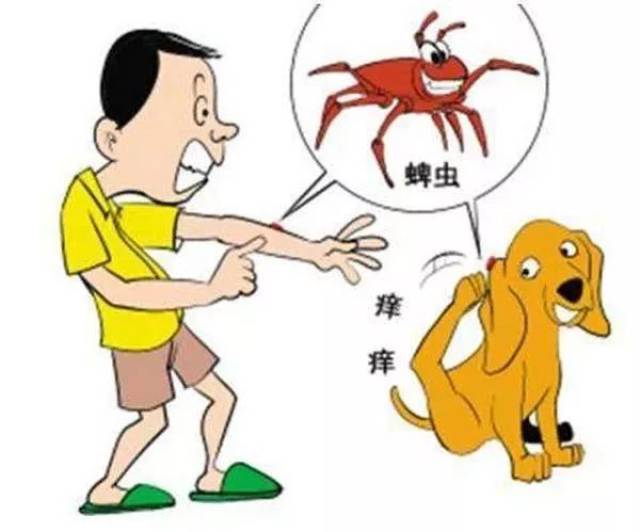 Ԥ涣ҧ