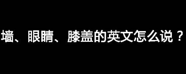 墙,眼睛,膝盖的英文怎么说?我爱你【抖音表情包】