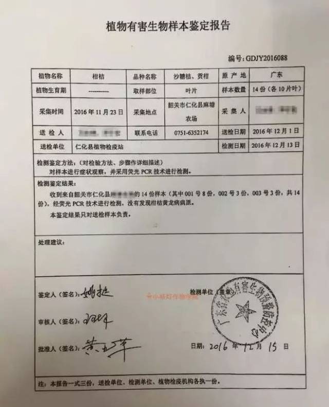 ② 看苗木场是否有黄龙病的检测报告