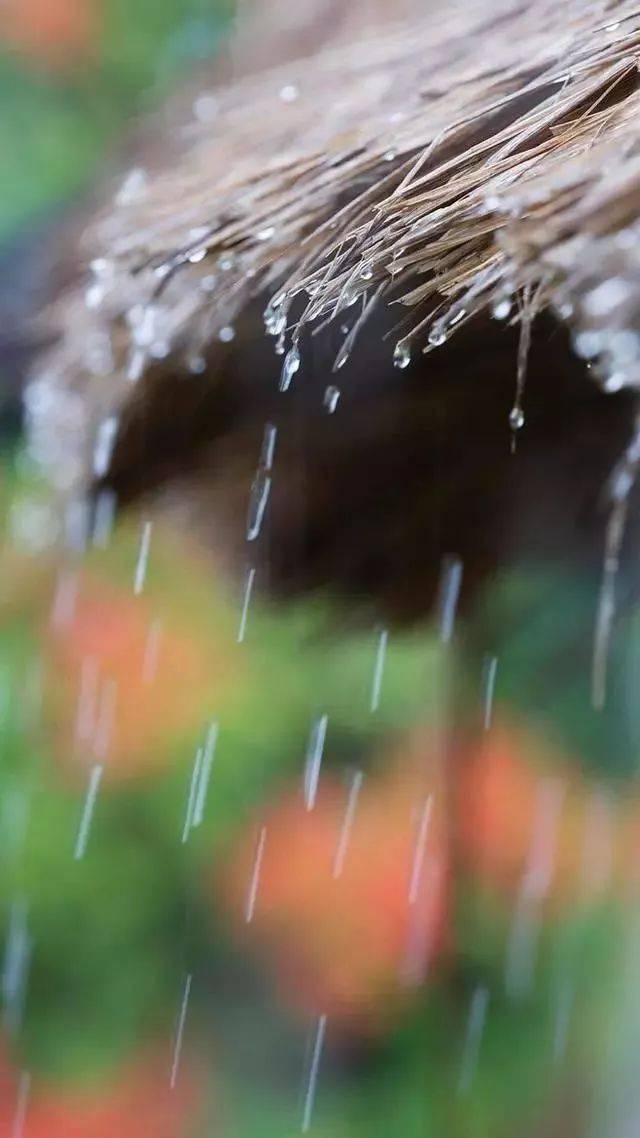 如何将雨滴拍出意境,快来补课,学完就用