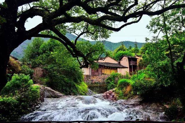 浙江最美的几个深山隐居地,才是暑假最值得一去的旅行地!